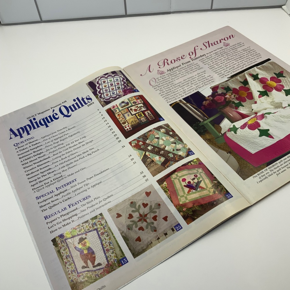 Applique Quilts Magazine #46 2004 15 Projects Sunbonnet Sue Calendar Quilt - Picture 4 of 6